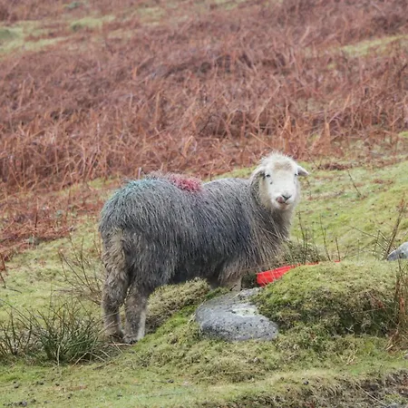 Holiday home 8 Woodlands *